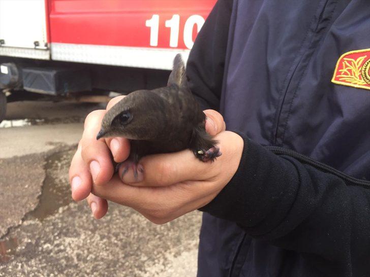 Adıyaman'da ayakları ipe dolanan ebabili itfaiye kurtardı G2