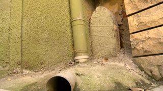 İstanbul mezarlarının kötü kaderi isyan ettirdi!