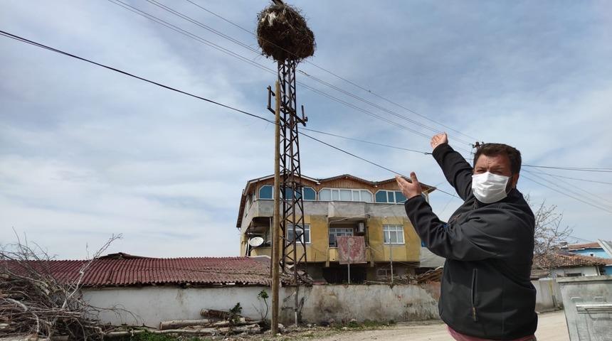 300 yıldır geliyorlar: En verimli zaman! Ekim-dikim onlarla başlıyor