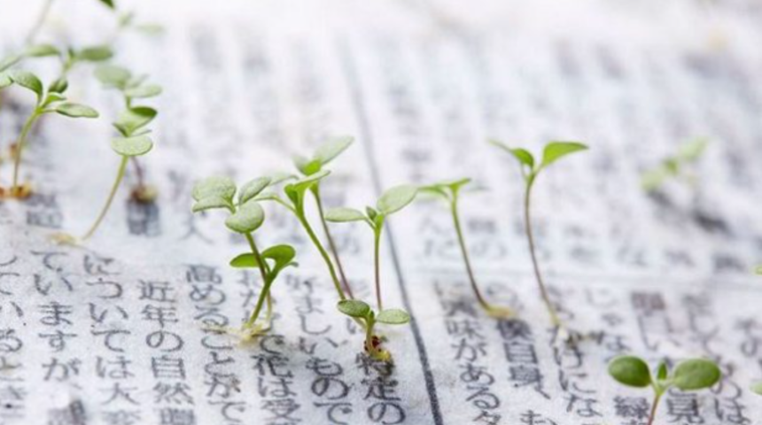 Japonya bunu da yaptı! Bitkiye dönüşen gazeteler görenleri şaşkına çevirdi
