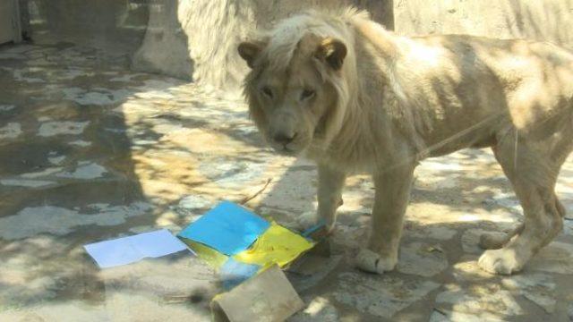 Kâhin Beyaz Aslan Pamuk’un şampiyonluk tahmini: Fenerbahçe