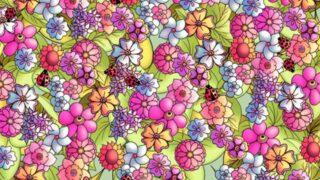 Görsel yeteneğinizi arttıracak bir bulmaca! Saklanan kelebeği fark edebildiniz mi?