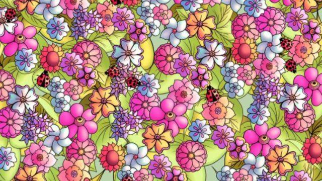 Görsel yeteneğinizi arttıracak bir bulmaca! Saklanan kelebeği fark edebildiniz mi?