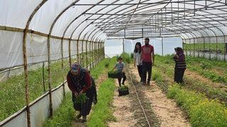 4,5 yıl önce eşinin köyüne dönen ODTÜ mezunu: Herkes şüpheyle yaklaşıyordu!