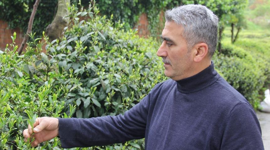  Çay üreticilerine tam kapanma olmadan "Köyünüze dönün" çağrısı