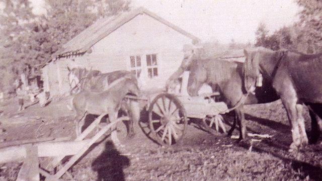 Park Valley, Saskatchewan, Jesse'nin büyükannelerinin yaşadığı yerin 1950lerdeki görüntüsü.