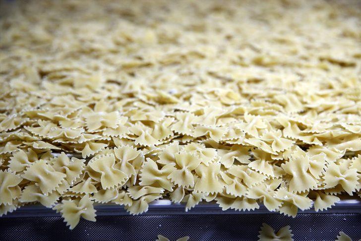 Makarna sektörü ihracatı artırmak için "yumuşak buğday"a yöneldi G3