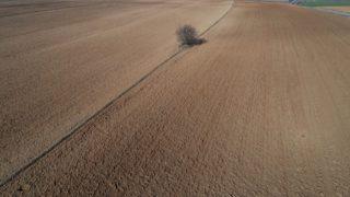 Bill Gates'in Trakya'dan arazi aldığı iddiası, fırsatçıları harekete geçirdi