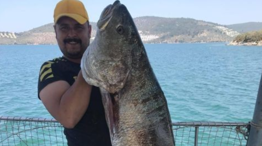 Dev balık ağlara takıldı! Boyu kadar balıkla böyle poz verdi