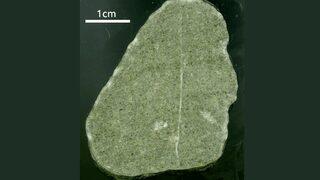 Keşfedilen 'ufak yeşil kaya parçası' geleceğimize dair ne anlatıyor?