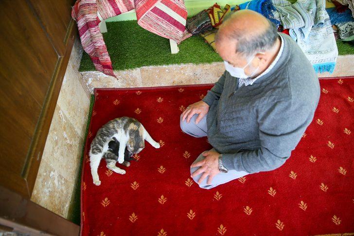 Anne kedi ile minik yavrusuna mescit "yuva" oldu G4