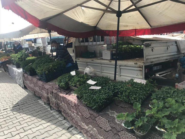 Çorum'da karantinada olması gerekirken pazarda satış yapan kişi KYK yurduna yerleştirildi G1