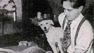 Ölen bir canlıyı insanların gözünün önünde dirilten ilk kişi: Dr. Robert Cornish 