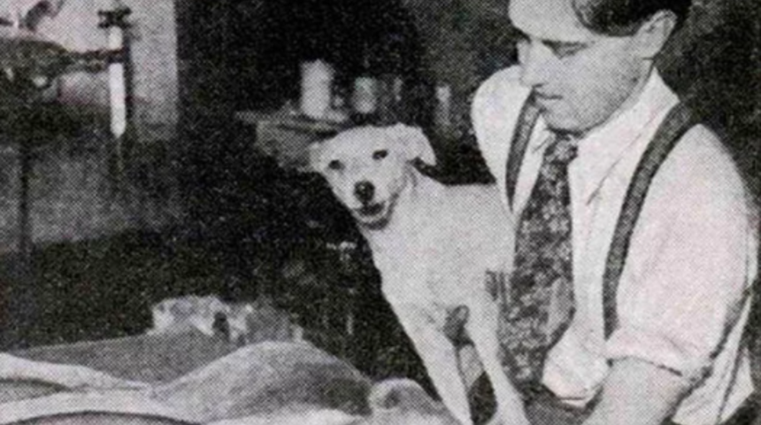 Ölen bir canlıyı insanların gözünün önünde dirilten ilk kişi: Dr. Robert Cornish 