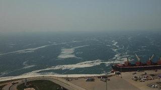 Balıkçıların korkulu rüyası! Deniz salyası, İzmit Körfezi'nde yeniden ortaya çıktı