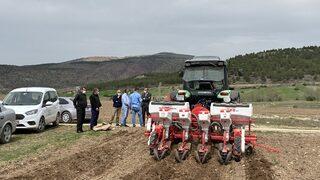 Karabük'te atıl durumdaki 350 dekar tarım arazisine ayçiçeği ekildi