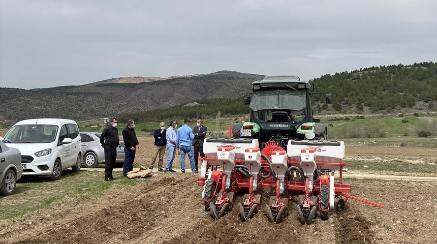Karabük'te atıl durumdaki 350 dekar tarım arazisine ayçiçeği ekildi