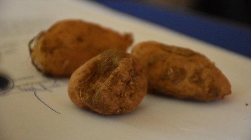 Batman'da koruma altındaki salep soğanlarını toplayan 5 kişiye 400 bin lira ceza