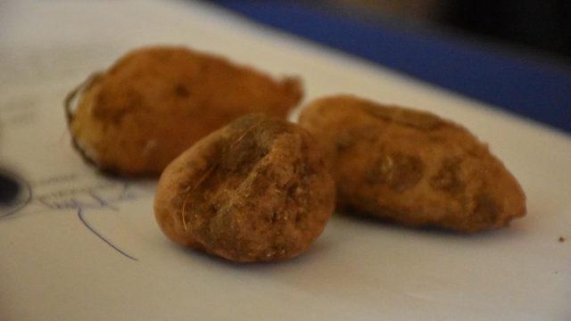 Batman'da koruma altındaki salep soğanlarını toplayan 5 kişiye 400 bin lira ceza