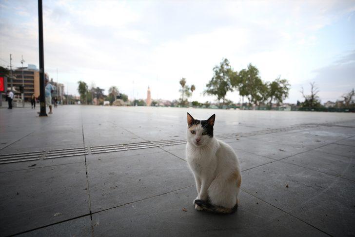 Antalya, Muğla, Burdur ve Isparta "tam kapanma"nın ardından sessizliğe büründü G5