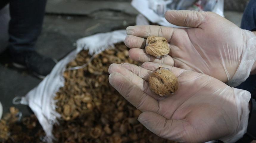 Ceviz kabuklarının içine gizlenmiş 153 kilo 550 gram afyon sakızı ele geçirildi