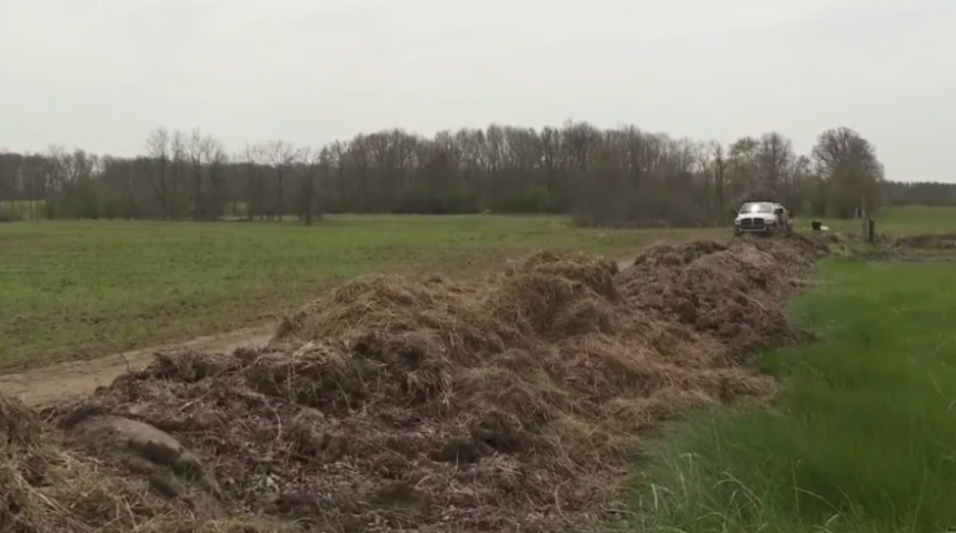 Dışkı sınırı! Komşusundan rahatsız olan adam yaptığı şeyle şaşkına çevirdi