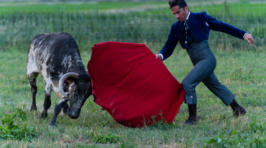 Bugüne kadar doğru bildiğiniz ancak tamamen şehir efsanesi haline dönüşen 10 yanlış bilgi