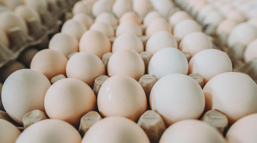 Alkolü yasaklayan Rusya, bedava yumurta dağıtacak!