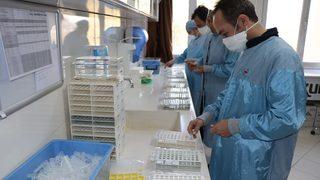 Yerli aşıda önemli gelişme: Faz-2'nin veri toplama aşaması da tamamlandı