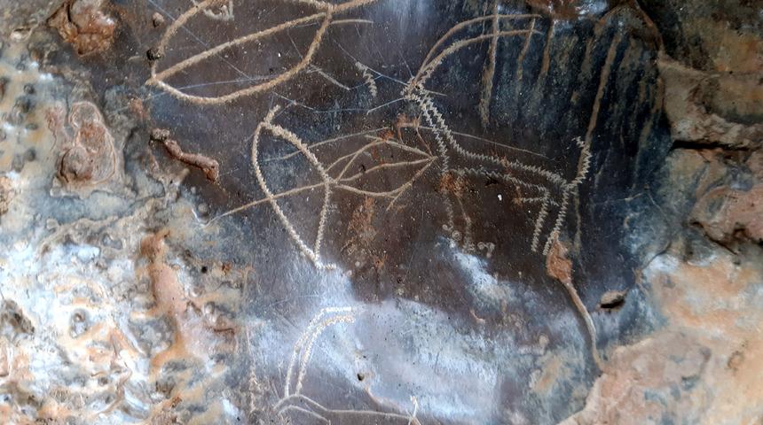 Heyecanlandıran keşif! Mağarada 8 bin yıllık kaya resimleri bulundu