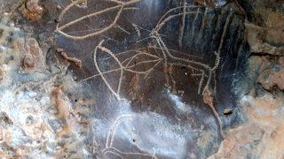 Heyecanlandıran keşif! Mağarada 8 bin yıllık kaya resimleri bulundu