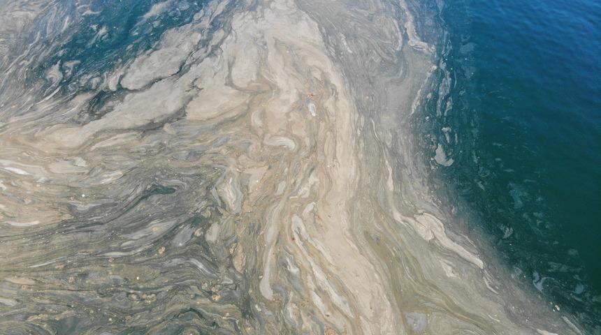 Marmara’da endişelendiren görüntü: Deniz salyası denizi turuncuya boyadı