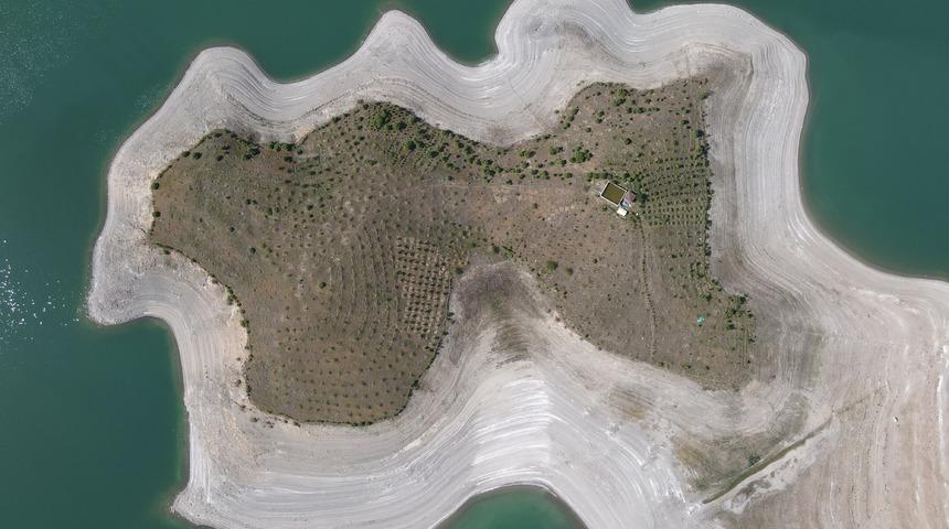 T&uuml;rkiye'nin Robinson Crusoe'u Ziya Dede'nin adası yeşile b&uuml;r&uuml;nd&uuml;!