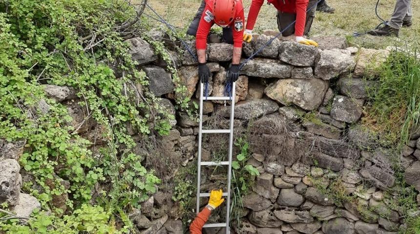 Denizli'de su kuyusuna d&uuml;şen iki &ccedil;akal kurtarıldı