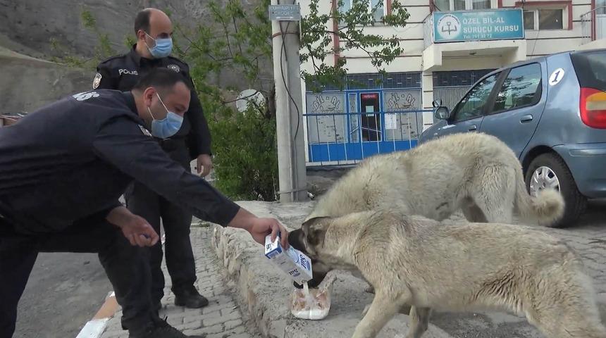 Aç kalan sokak hayvanlarının yardımına polisler koştu