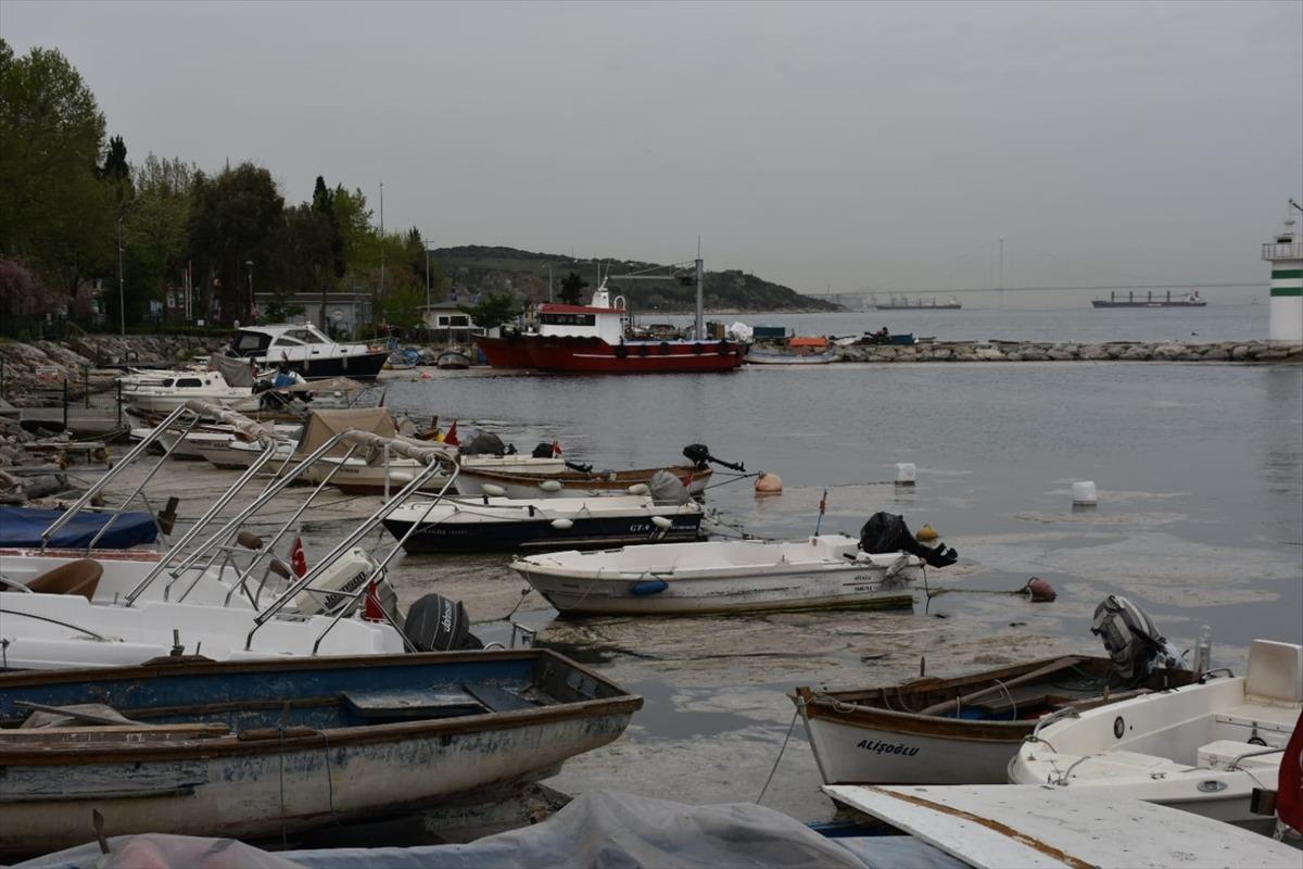 İzmit K&ouml;rfezi'nde g&ouml;r&uuml;len deniz salyası etkisini s&uuml;rd&uuml;r&uuml;yor