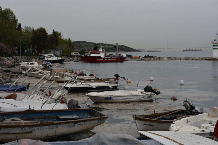 İzmit Körfezi'nde görülen deniz salyası etkisini sürdürüyor G1