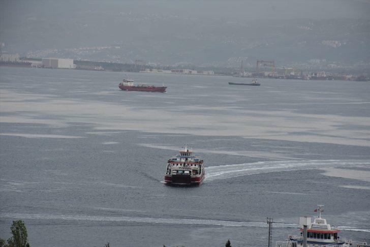 İzmit Körfezi'nde görülen deniz salyası etkisini sürdürüyor G3