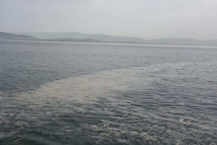 İzmit Körfezi'nde görülen deniz salyası etkisini sürdürüyor G4