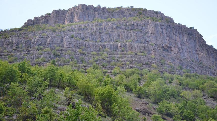 Dağlardaki karlar eriyince Şırnak yeşile büründü