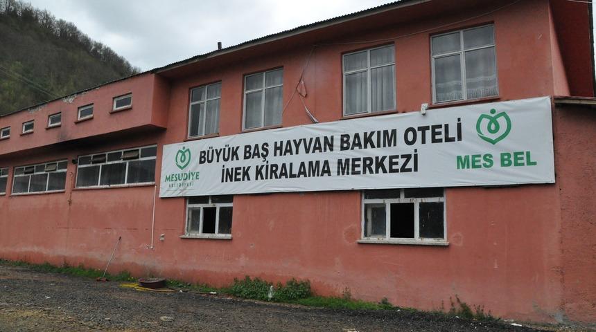 Büyükbaş hayvanlarını kışın otele bırakıyor, yazın alıyorlar
