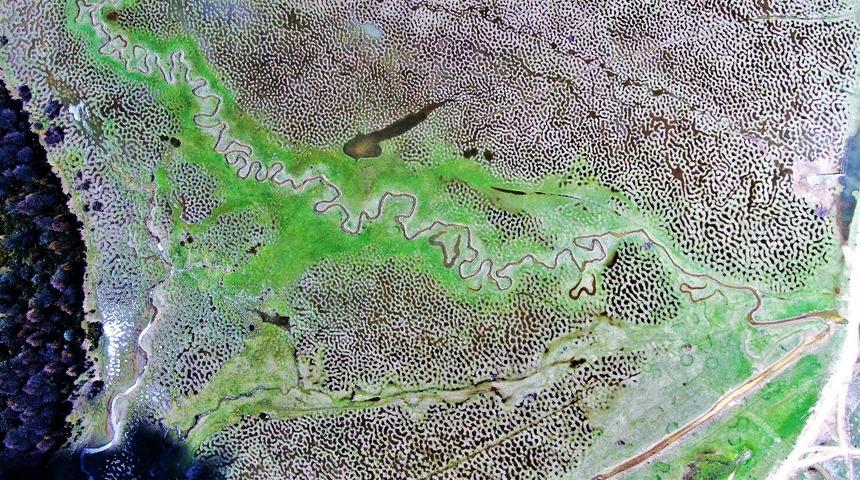 Sakarya’nın Karagöl Yaylası, görenleri kendisine hayran bırakıyor