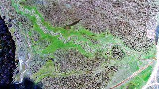 Sakarya’nın Karagöl Yaylası, görenleri kendisine hayran bırakıyor