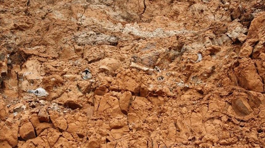 1 milyar yıllık fosil keşfedildi!