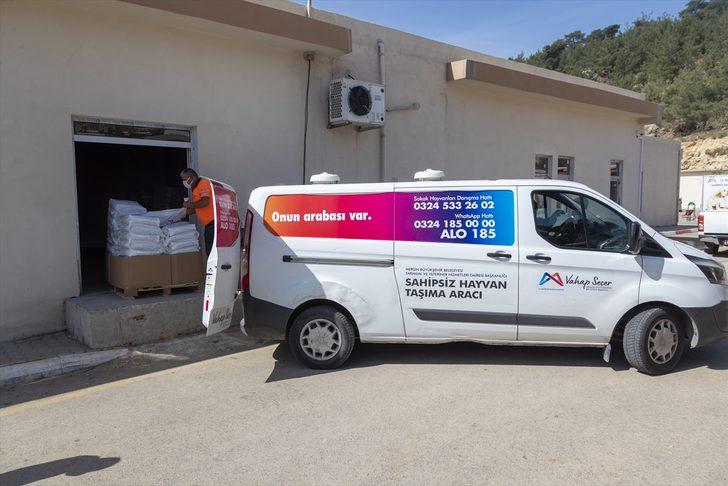 Mersin'de tam kapanmada sokak hayvanlarına 7 ton mama dağıtılacak G2