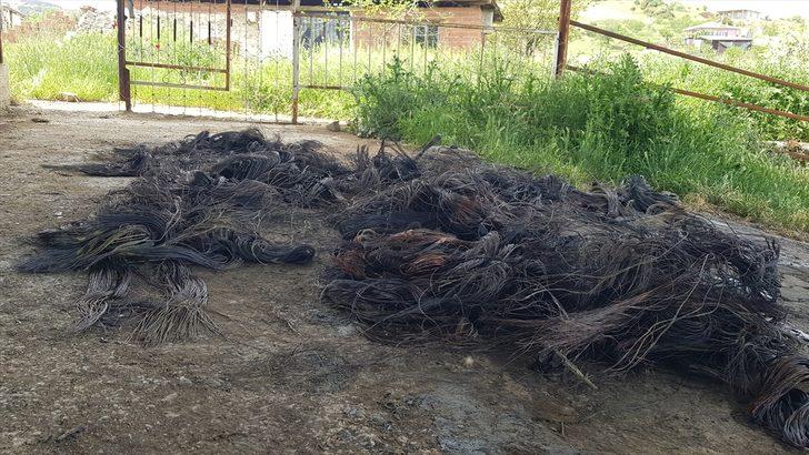 Manisa'da kablo hırsızlığı yaptığı öne sürülen 3 kişi yakalandı G2