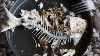 Boğazına kaçtığını sandığı kılçık, boyun kasından çıktı