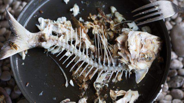 Boğazına kaçtığını sandığı kılçık, boyun kasından çıktı