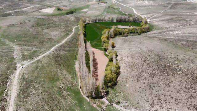 Bozkırın ortasındaki vaha! Gören hayran kalıyor