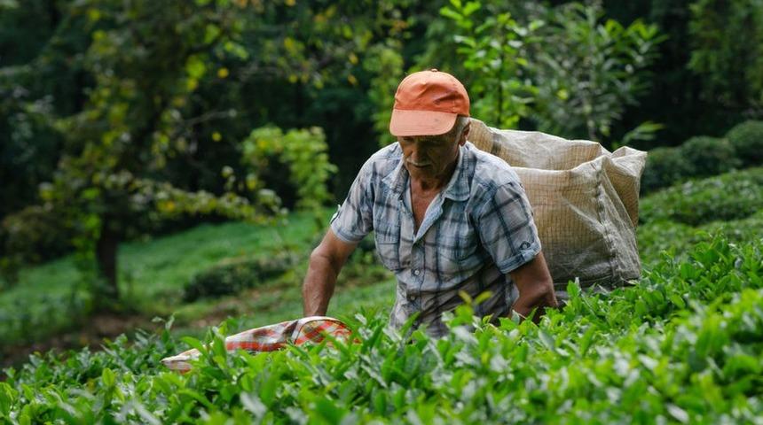 &Ccedil;AYKUR 4 yıldır zarar ediyor: Kurumun geleceği i&ccedil;in ne yapılmalı?